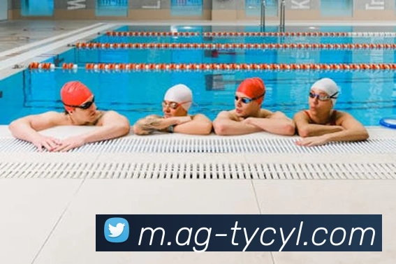 App Interface Preview