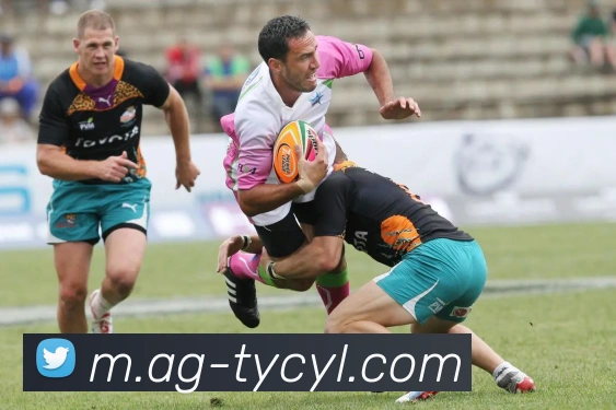 太阳城娱乐APP 封面图